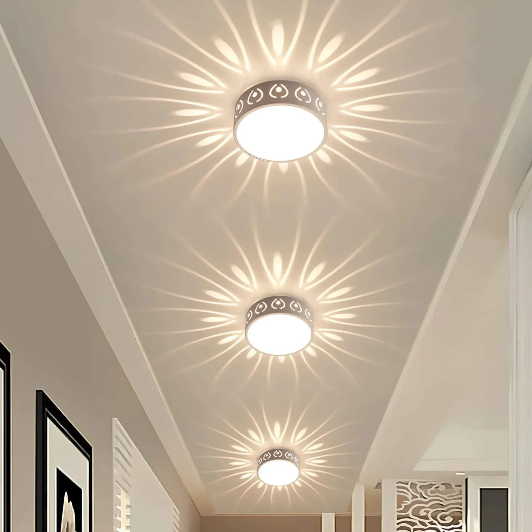 stylish-modern-ceiling-light-f-2-w0polr