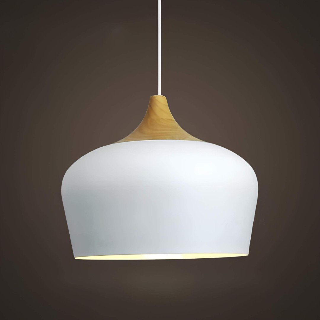 stylish-modern-ceiling-light-f-5-e001d6