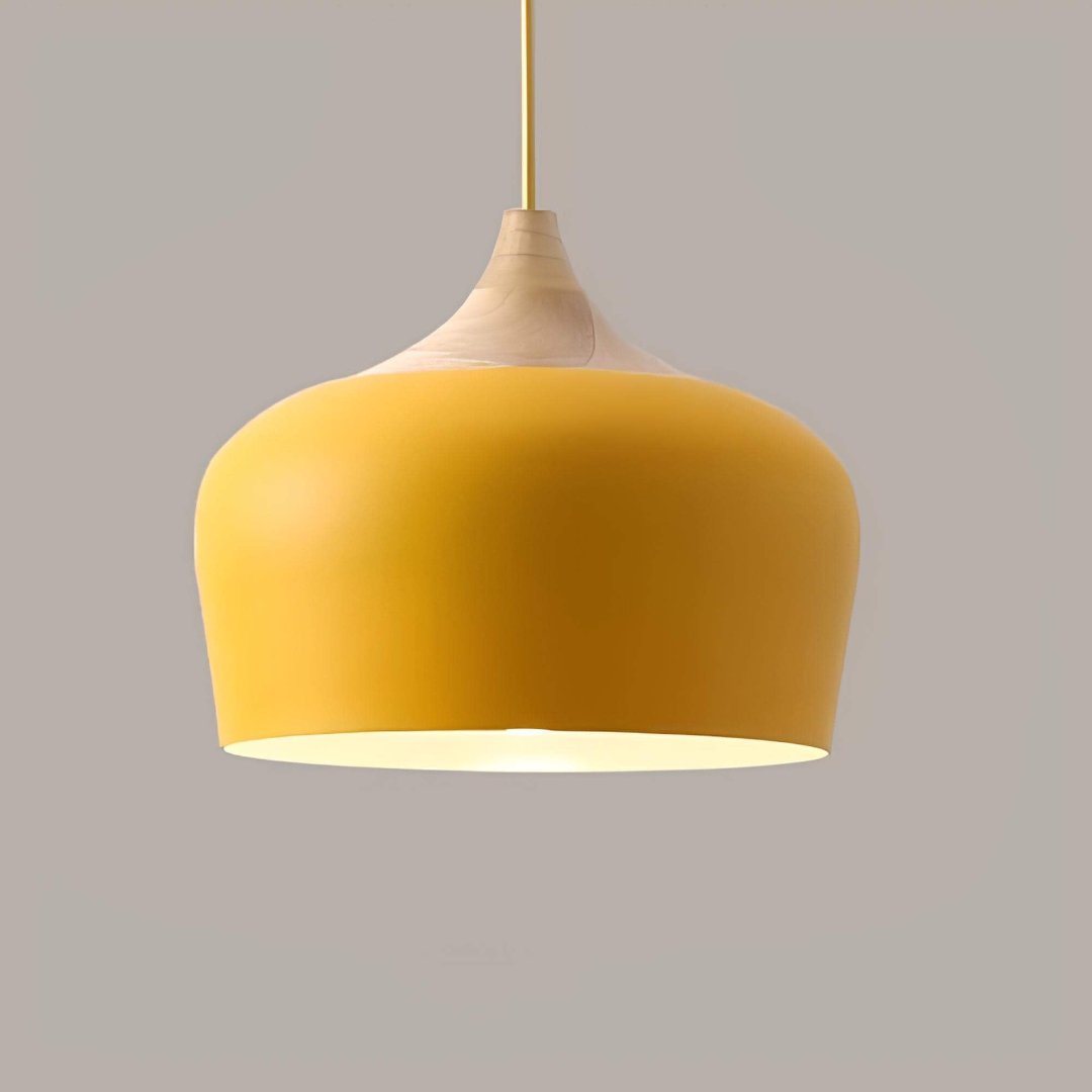 stylish-modern-ceiling-light-f-2-r3s9xt